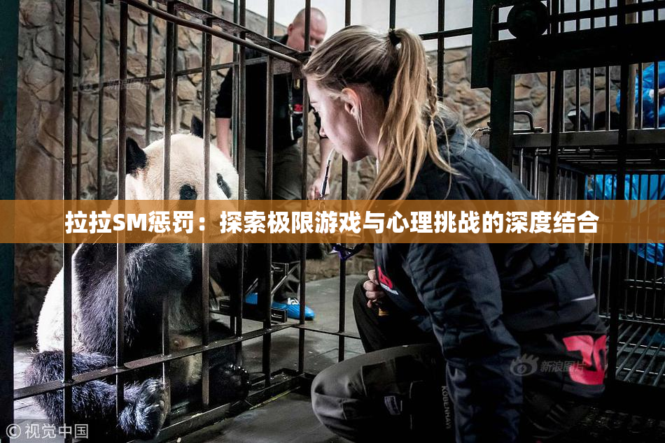 拉拉SM惩罚：探索极限游戏与心理挑战的深度结合