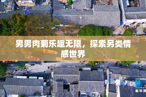 男男肉菊乐趣无限，探索另类情感世界