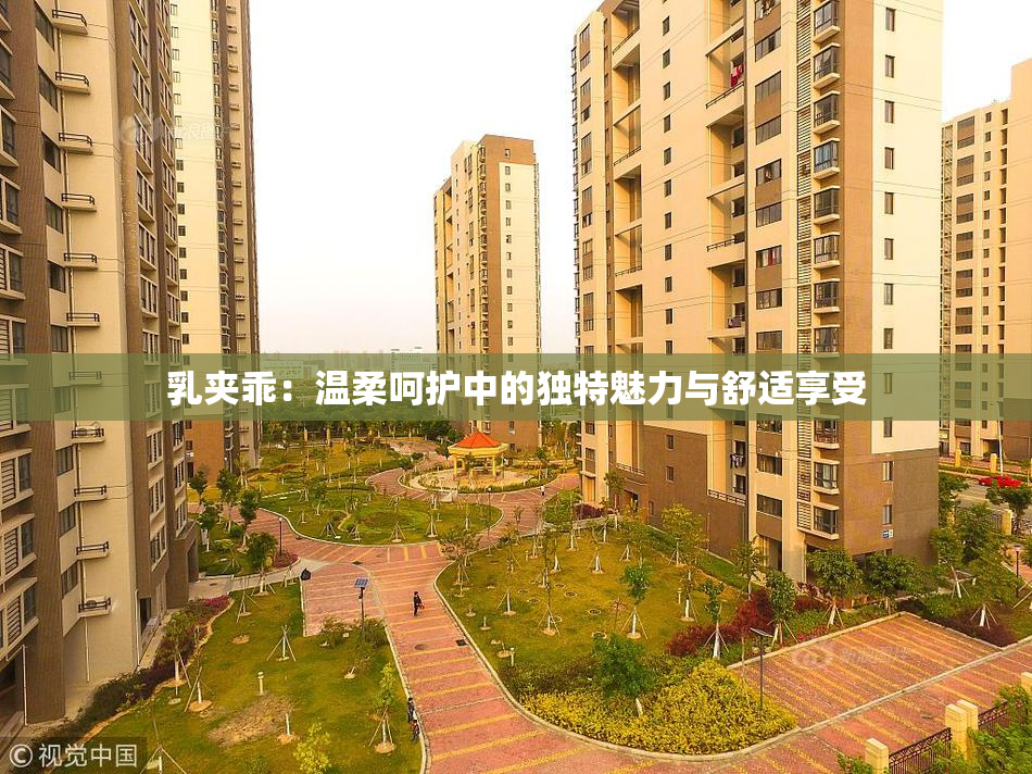 乳夹乖：温柔呵护中的独特魅力与舒适享受