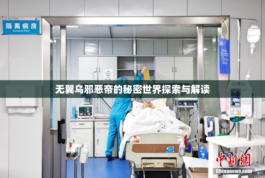 无翼乌邪恶帝的秘密世界探索与解读