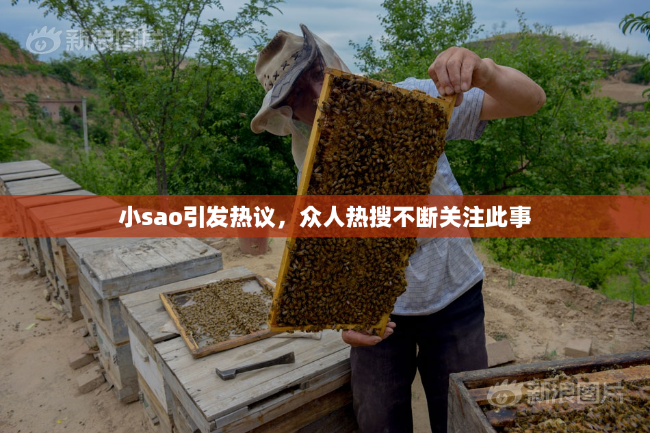 小sao引发热议，众人热搜不断关注此事