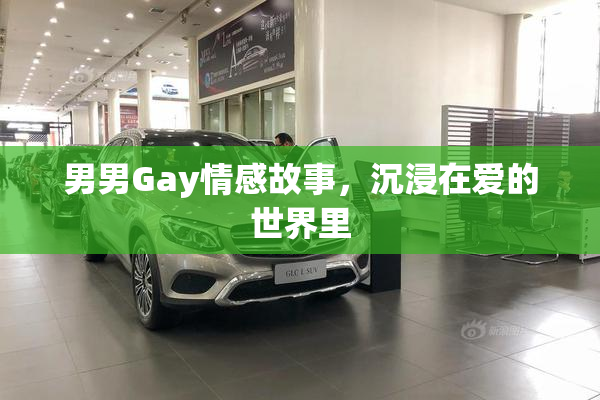 男男Gay情感故事，沉浸在爱的世界里
