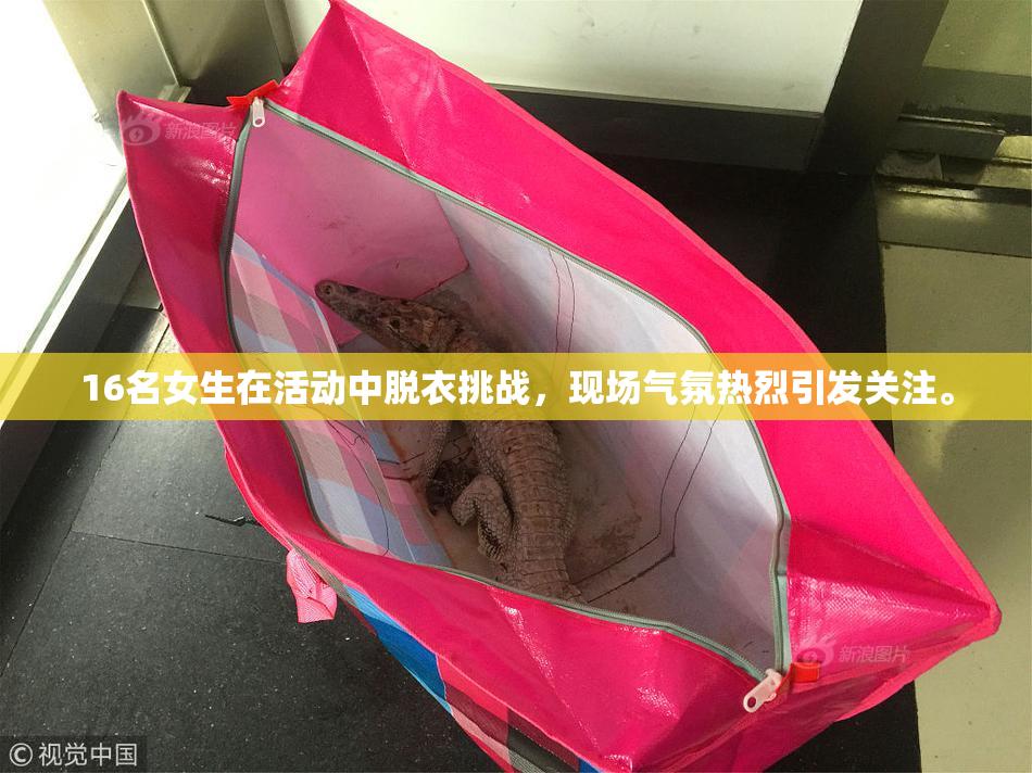 16名女生在活动中脱衣挑战，现场气氛热烈引发关注。