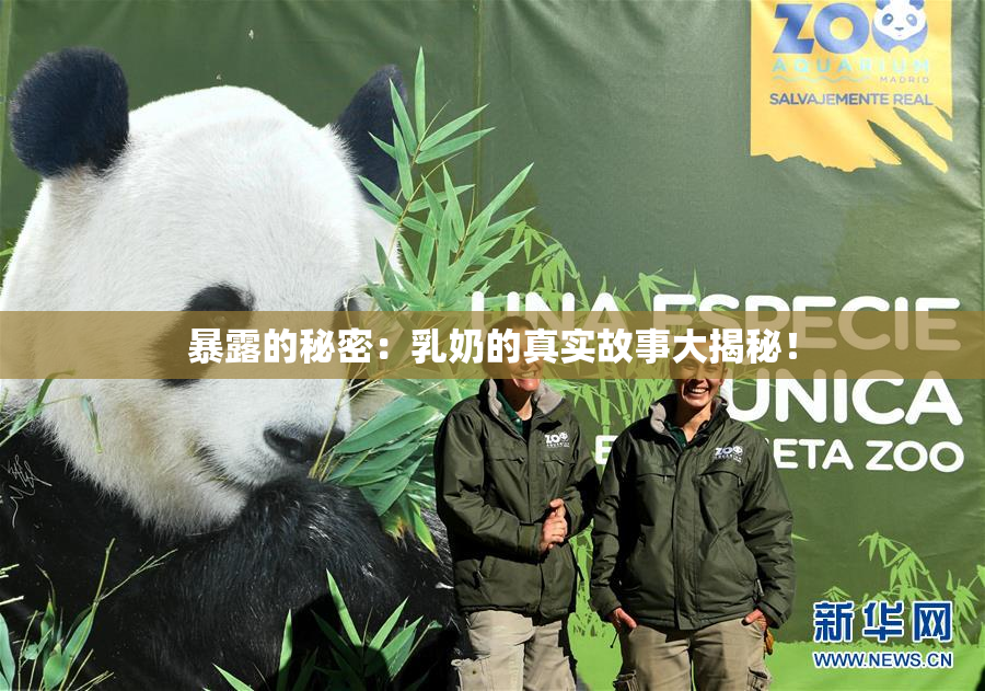 暴露的秘密：乳奶的真实故事大揭秘！