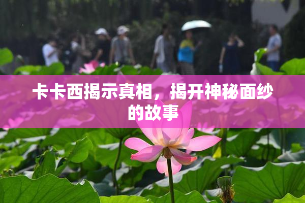 卡卡西揭示真相，揭开神秘面纱的故事