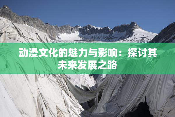 动漫文化的魅力与影响：探讨其未来发展之路