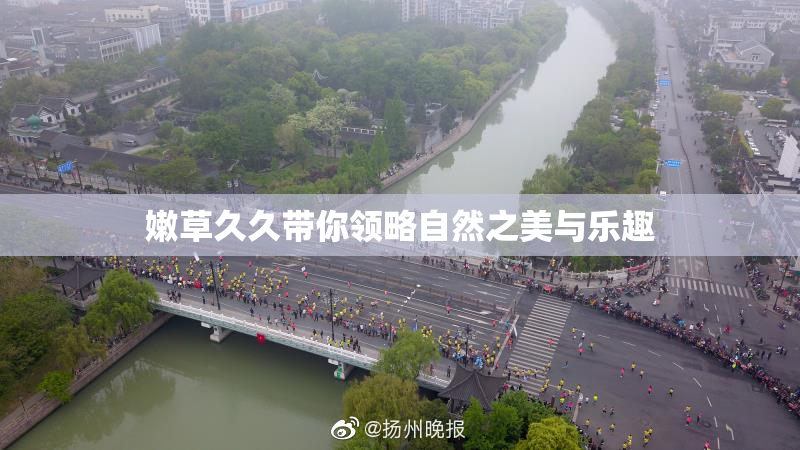 嫩草久久带你领略自然之美与乐趣