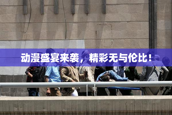动漫盛宴来袭，精彩无与伦比！