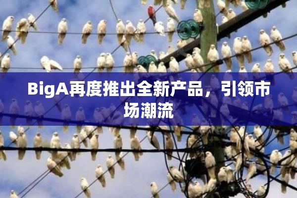 BigA再度推出全新产品，引领市场潮流