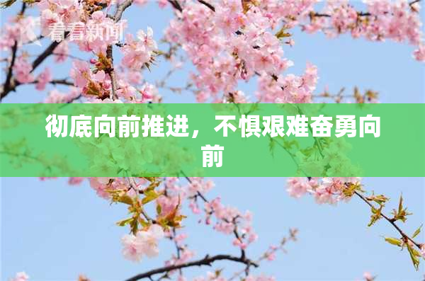彻底向前推进，不惧艰难奋勇向前