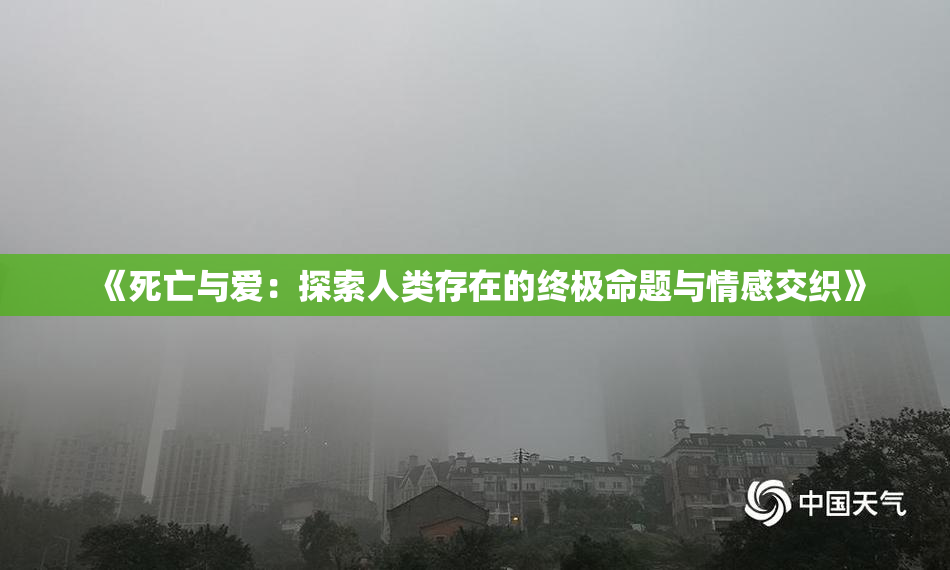 《死亡与爱：探索人类存在的终极命题与情感交织》