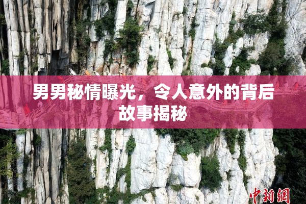 男男秘情曝光，令人意外的背后故事揭秘