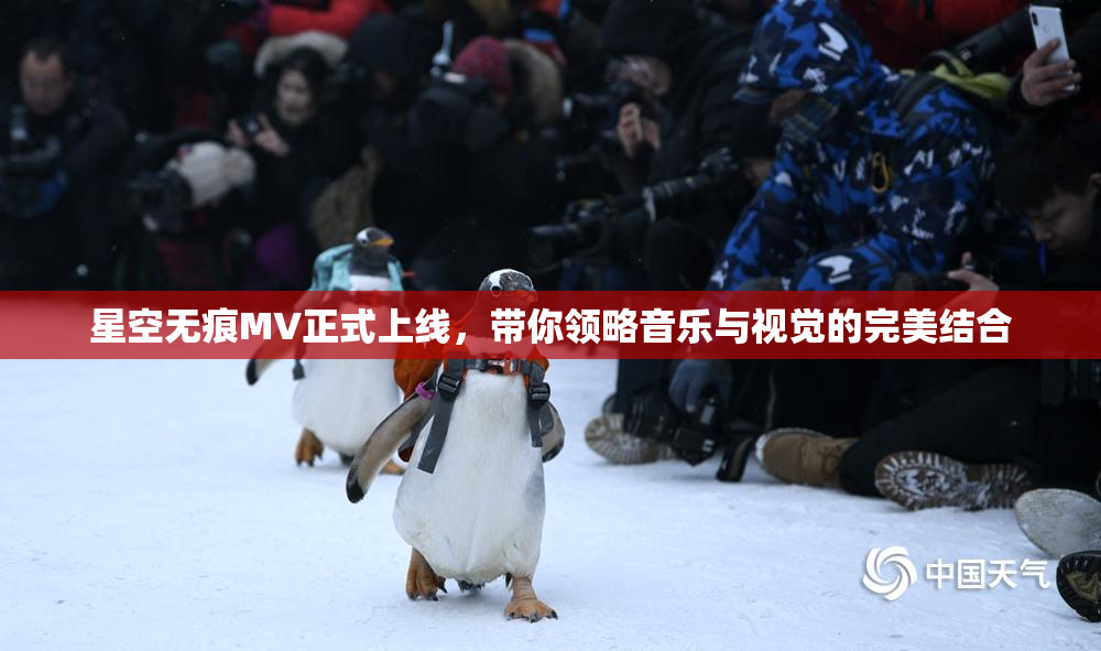 星空无痕MV正式上线，带你领略音乐与视觉的完美结合