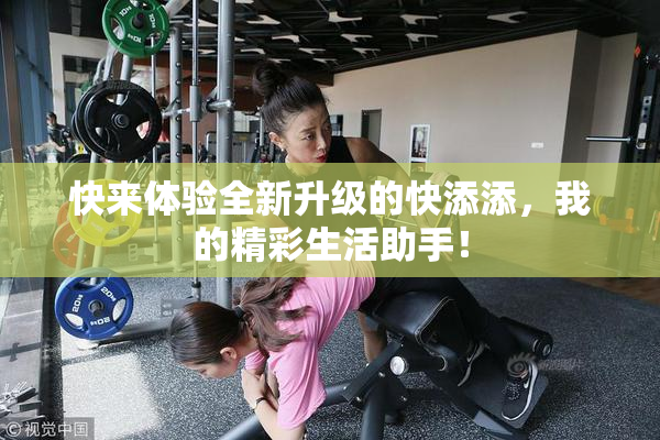 快来体验全新升级的快添添，我的精彩生活助手！