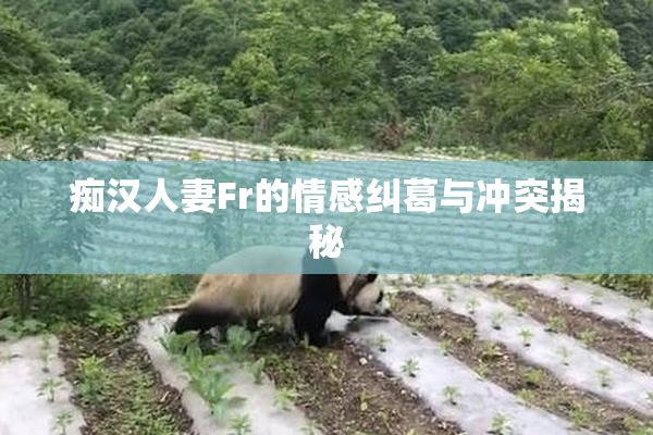 痴汉人妻Fr的情感纠葛与冲突揭秘