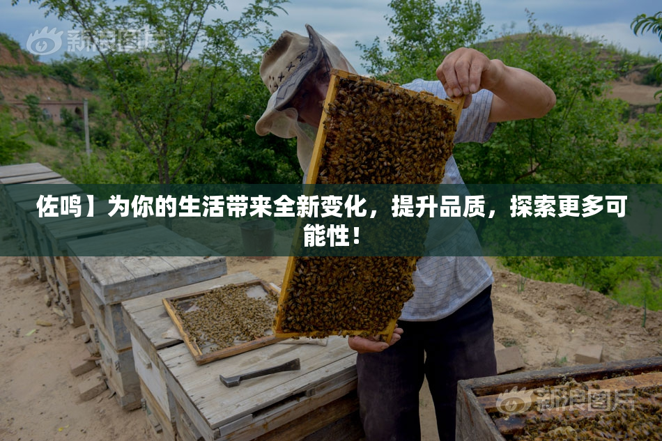 佐鸣】为你的生活带来全新变化，提升品质，探索更多可能性！