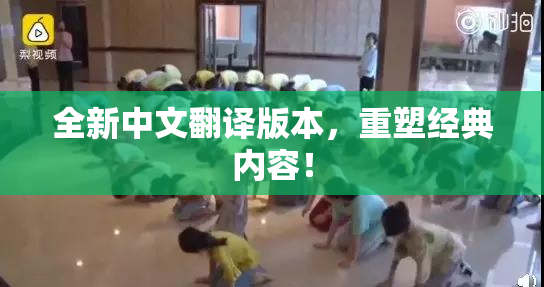 全新中文翻译版本，重塑经典内容！