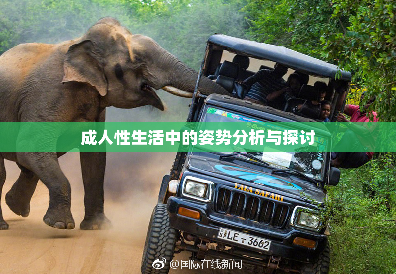 成人性生活中的姿势分析与探讨
