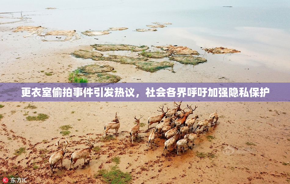 更衣室偷拍事件引发热议，社会各界呼吁加强隐私保护