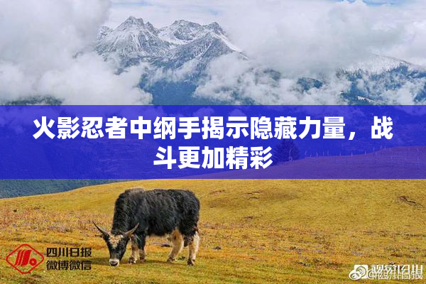 火影忍者中纲手揭示隐藏力量，战斗更加精彩
