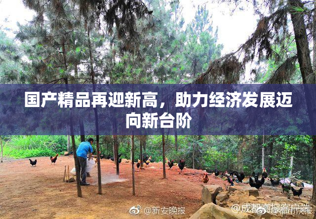 国产精品再迎新高，助力经济发展迈向新台阶