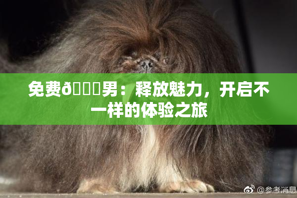 免费🔞男：释放魅力，开启不一样的体验之旅