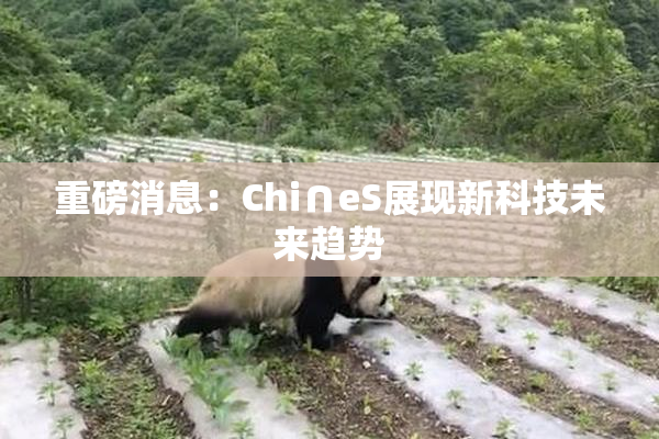 重磅消息：Chi∩eS展现新科技未来趋势