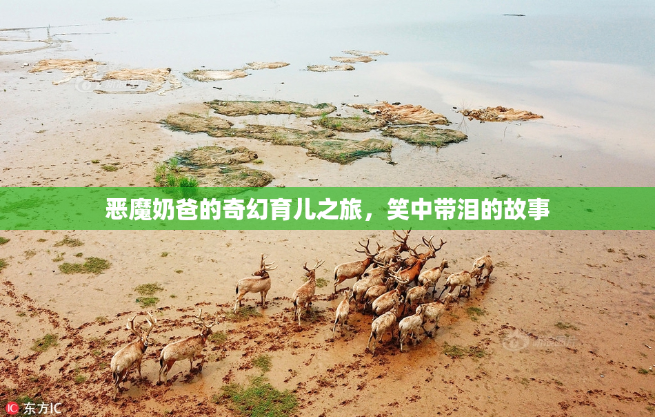 恶魔奶爸的奇幻育儿之旅，笑中带泪的故事