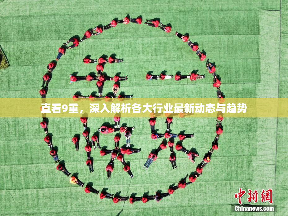 直看9重，深入解析各大行业最新动态与趋势