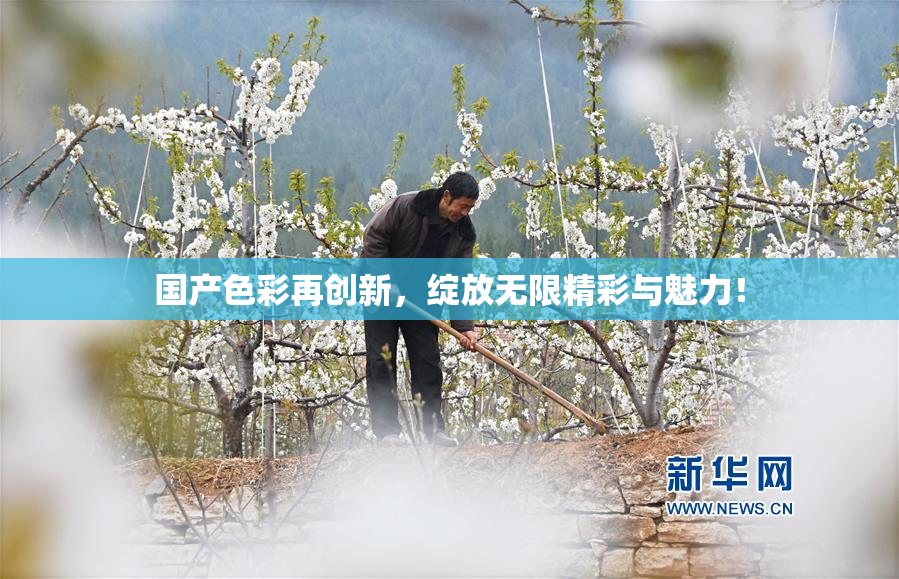 国产色彩再创新，绽放无限精彩与魅力！