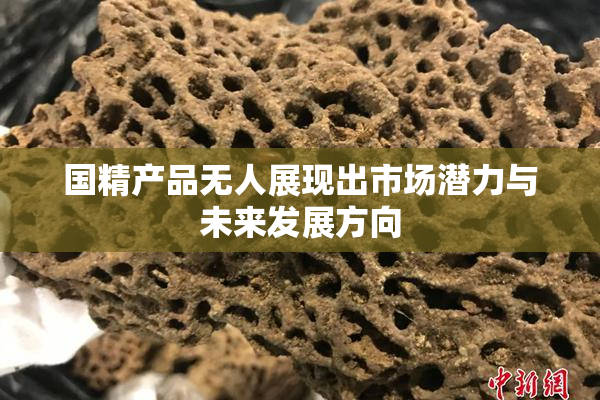国精产品无人展现出市场潜力与未来发展方向
