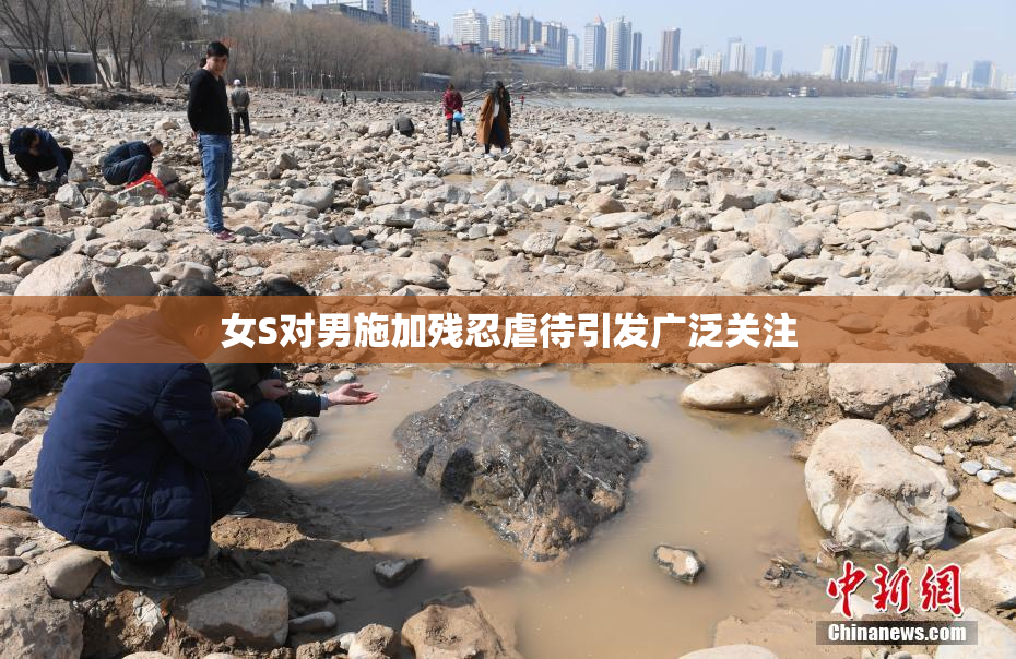 女S对男施加残忍虐待引发广泛关注