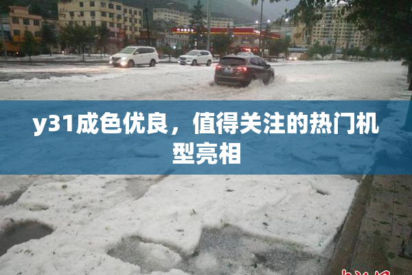 y31成色优良，值得关注的热门机型亮相