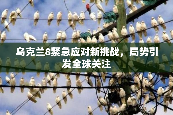 乌克兰8紧急应对新挑战，局势引发全球关注