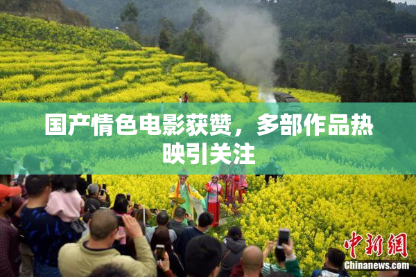 国产情色电影获赞，多部作品热映引关注