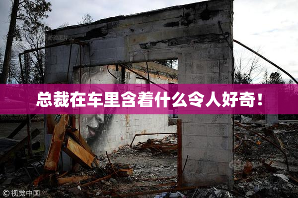 总裁在车里含着什么令人好奇！