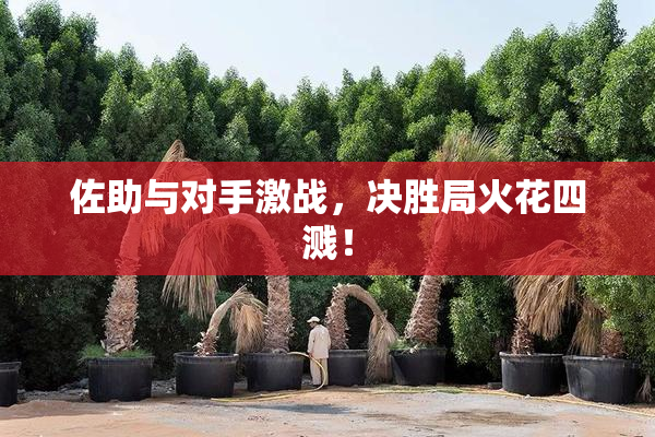 佐助与对手激战，决胜局火花四溅！