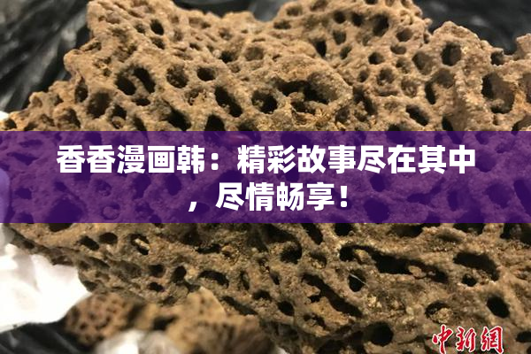 香香漫画韩：精彩故事尽在其中，尽情畅享！