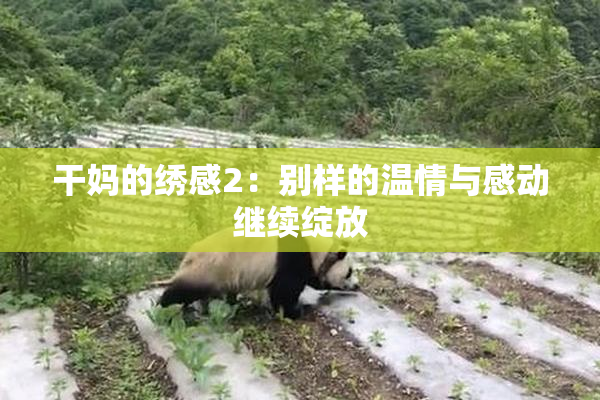 干妈的绣感2：别样的温情与感动继续绽放