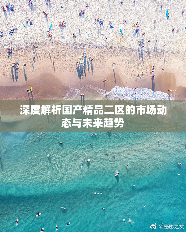 深度解析国产精品二区的市场动态与未来趋势
