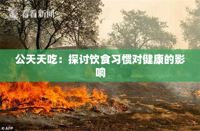 公天天吃：探讨饮食习惯对健康的影响
