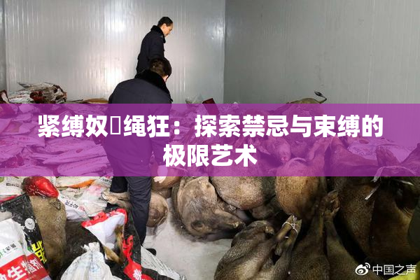 紧缚奴隷绳狂：探索禁忌与束缚的极限艺术