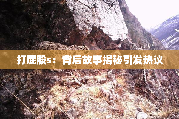 打屁股s：背后故事揭秘引发热议