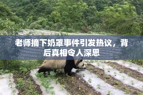 老师摘下奶罩事件引发热议，背后真相令人深思