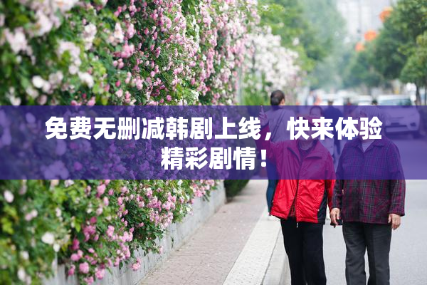 免费无删减韩剧上线，快来体验精彩剧情！