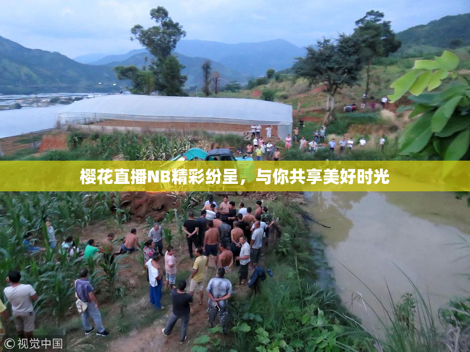 樱花直播NB精彩纷呈，与你共享美好时光