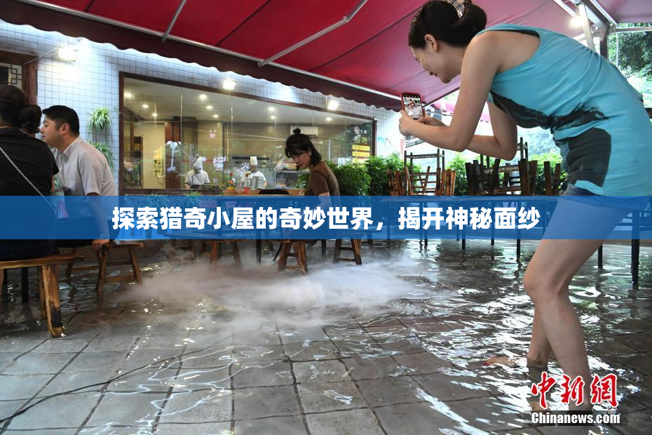 探索猎奇小屋的奇妙世界，揭开神秘面纱