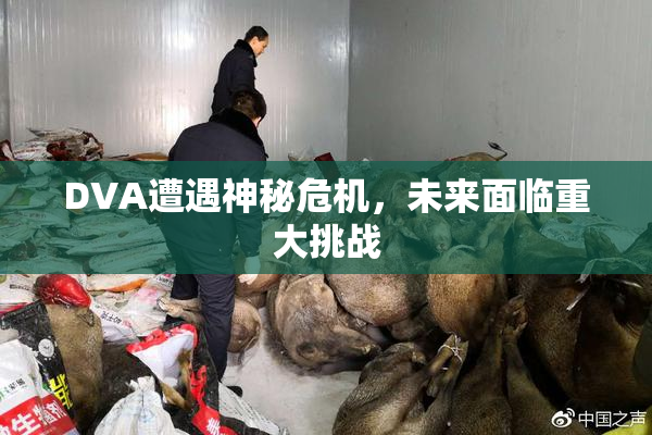 DVA遭遇神秘危机，未来面临重大挑战