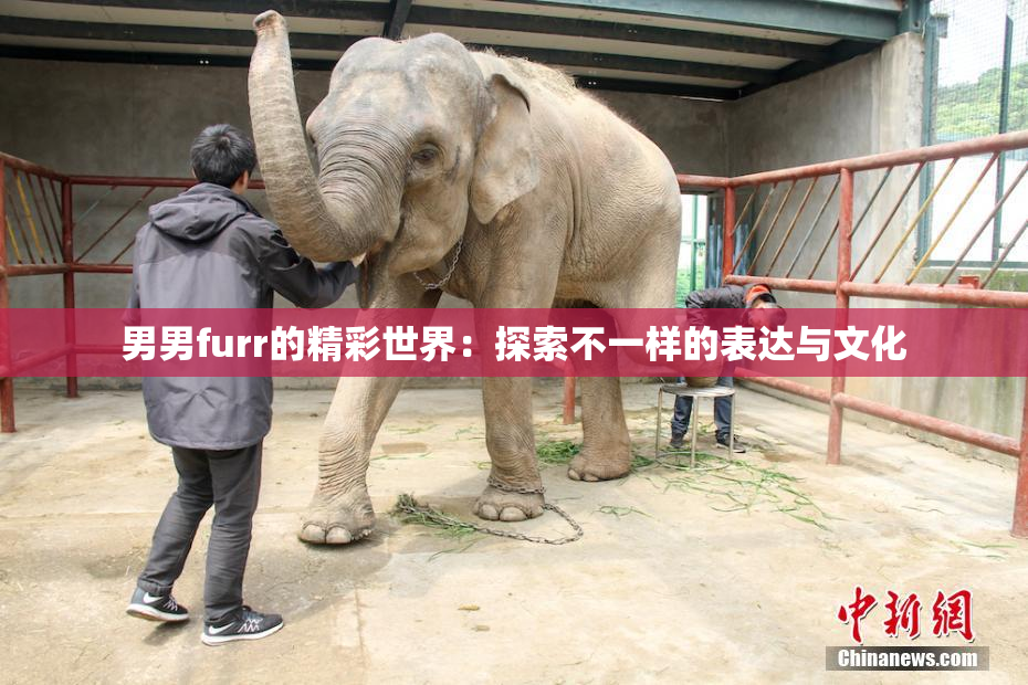 男男furr的精彩世界：探索不一样的表达与文化