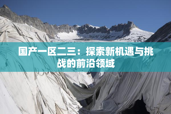 国产一区二三：探索新机遇与挑战的前沿领域
